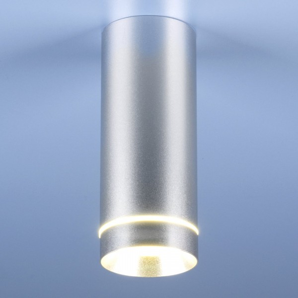 Накладной светильник Elektrostandard  DLR022 12W 4200K хром матовый